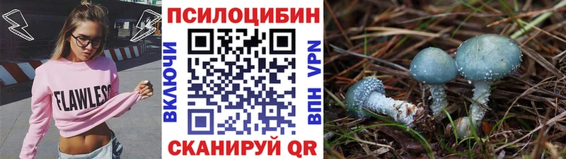 Псилоцибиновые грибы GOLDEN TEACHER  Пыть-Ях 