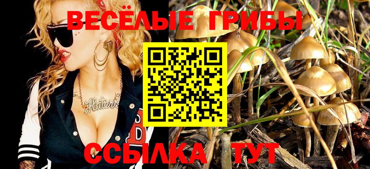 Галлюциногенные грибы мицелий  Пыть-Ях  Псилоцибиновые грибы MAGIC MUSHROOMS 