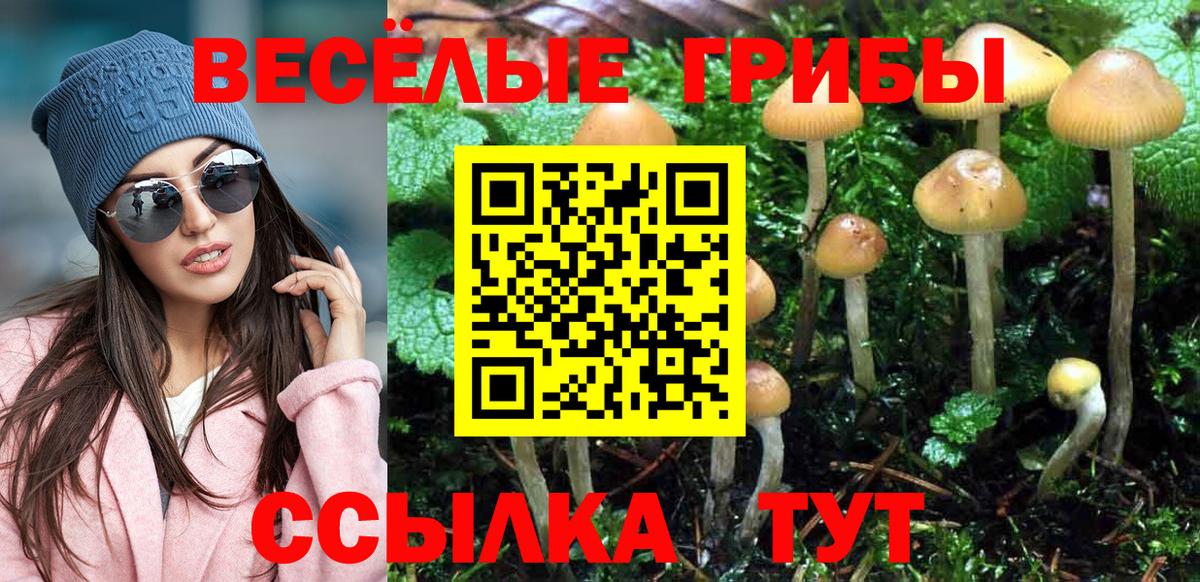 Галлюциногенные грибы мухоморы Пыть-Ях