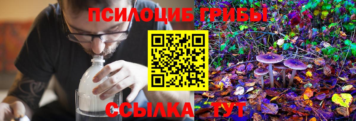 Пыть-Ях  Псилоцибиновые грибы Cubensis  Псилоцибиновые грибы Magic Shrooms  Вход с VPN 